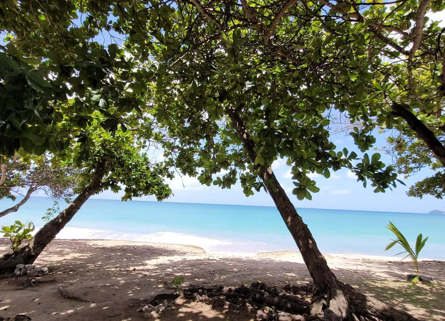 Ada Apartments Saint Lucia كاسترايْزْ 0*,